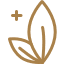 holistic healer icon 9 4 - Agence DYNSEO - Création de site internet et application mobile holistic healer icon 9 4