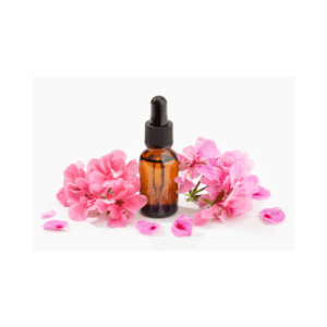 Site web vitrine personnalisé, développé avec les dernières technologies React et WordPress par l'agence DYNSEO à Bordeaux