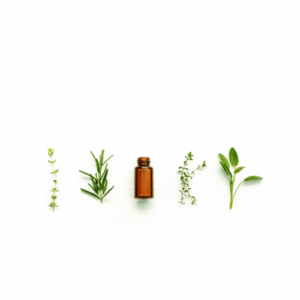 DYNSEO, l'agence web qui donne vie à vos ambitions digitales à Marseille