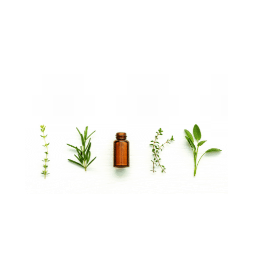 DYNSEO, l'agence web qui donne vie à vos ambitions digitales à Marseille