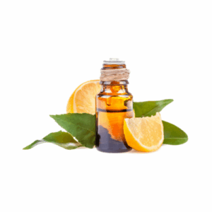 Création de site web réactif et performant par l'agence web innovante DYNSEO