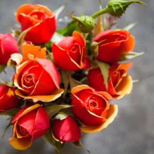 Bouquet de roses élégantes