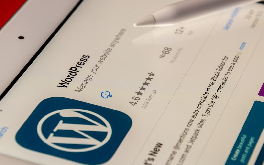 Les meilleurs plugins de publicité en ligne sous WordPress en 2024