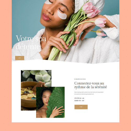 Exemple site spa Roubaix