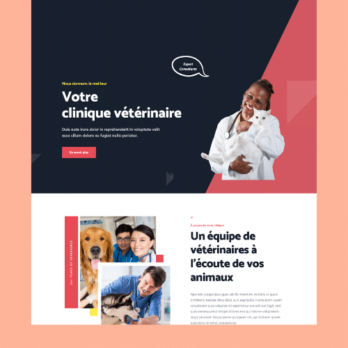 Modèle de site internet pour vétérinaire n°12