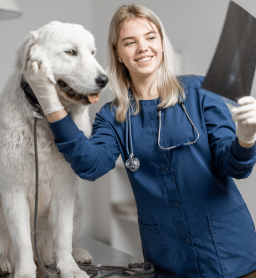 veterinaire-15