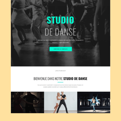 Site Studio Danse Tours DYNSEO