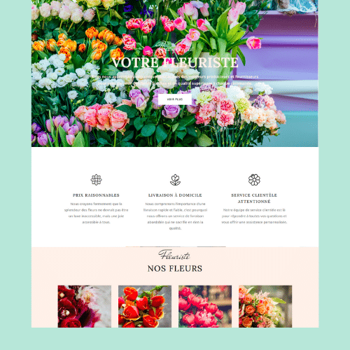 Modèle de boutique en ligne WooCommerce n°24