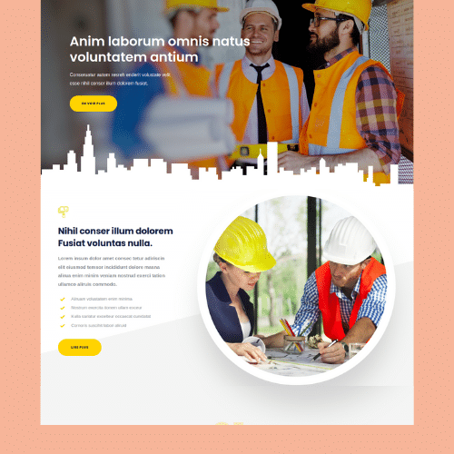 Modèle de site internet pour entreprise n°50
