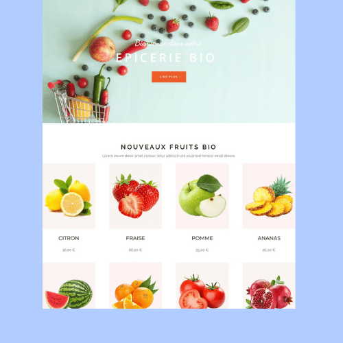 Exemple site épicerie bio en ligne Angoulême