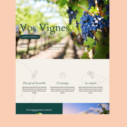 Modèle de site internet pour restaurant n°46