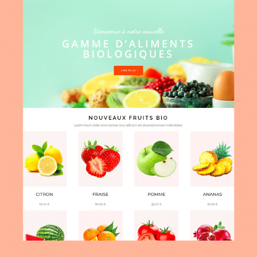 Modèle de boutique en ligne WooCommerce n°25