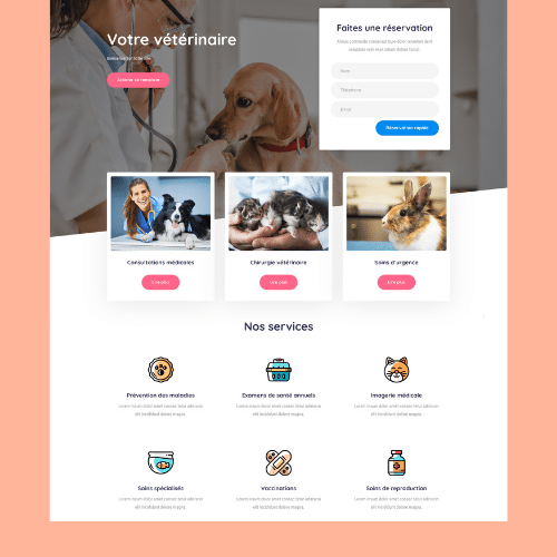 Modèle de site internet pour vétérinaire n°2