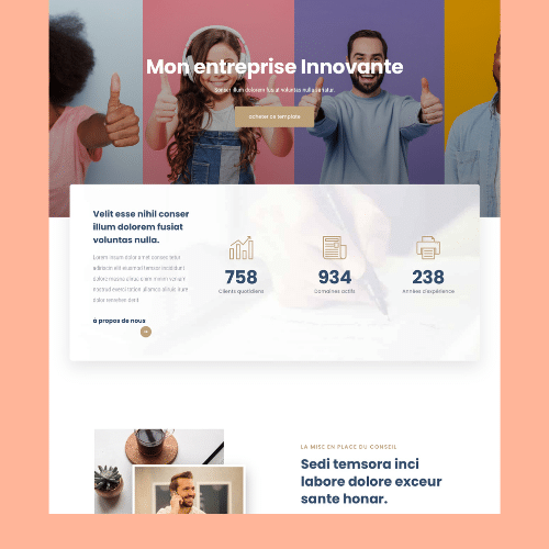 Modèle de site internet pour entreprise n°8
