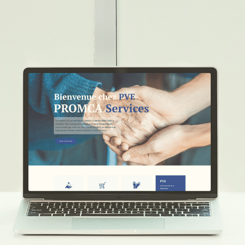 PEV PROMCA Services