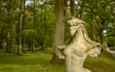 Propriété de votre nom de domaine : Guide pratique avant de refondre votre site web