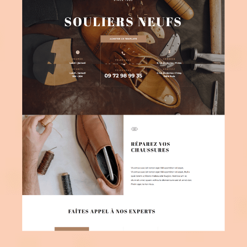 Site E-commerce Chaussures Saint-Étienne DYNSEO