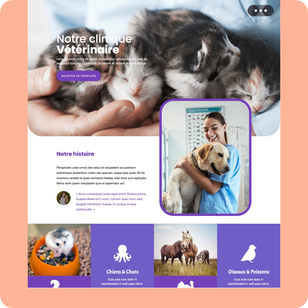 Modèle de site internet pour vétérinaire n°1