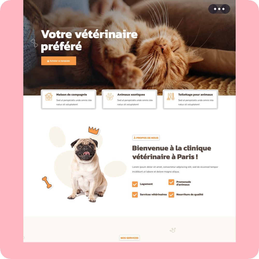 Modèle de site internet pour vétérinaire n°3
