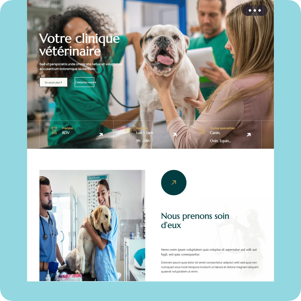 Modèle de site internet pour vétérinaire n°9