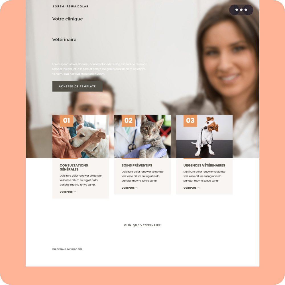 Modèle de site internet pour vétérinaire n°11